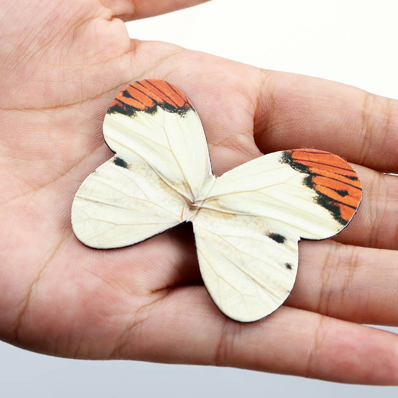 4pcs/Pack Beautiful Butterfly  - Bookmark Magnetic Clip review and price
